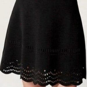 Loft Laser Cut Scallop-hem Mini Skirt